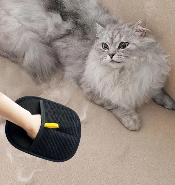 Pet Hair Removal Glove – Portable & Easy Cleaning for Furniture, Car & Clothes